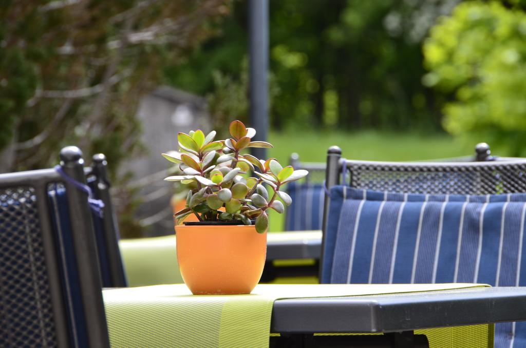 Hotel Gasthof Am Forsthof Edelsfeld Esterno foto